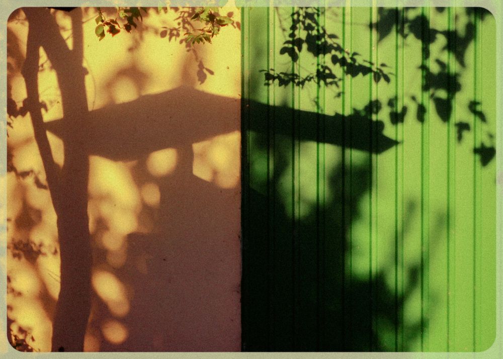 Photograph by Ефимова Анна