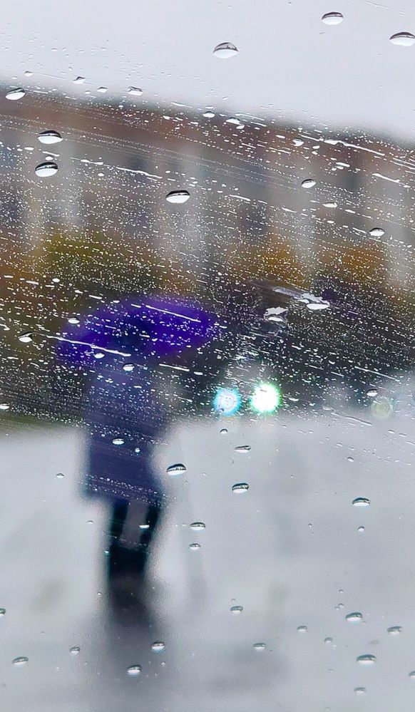 Фотография автора Юлия Егорова