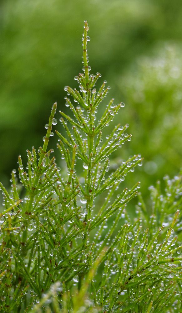 Фотография автора Юлия Егорова