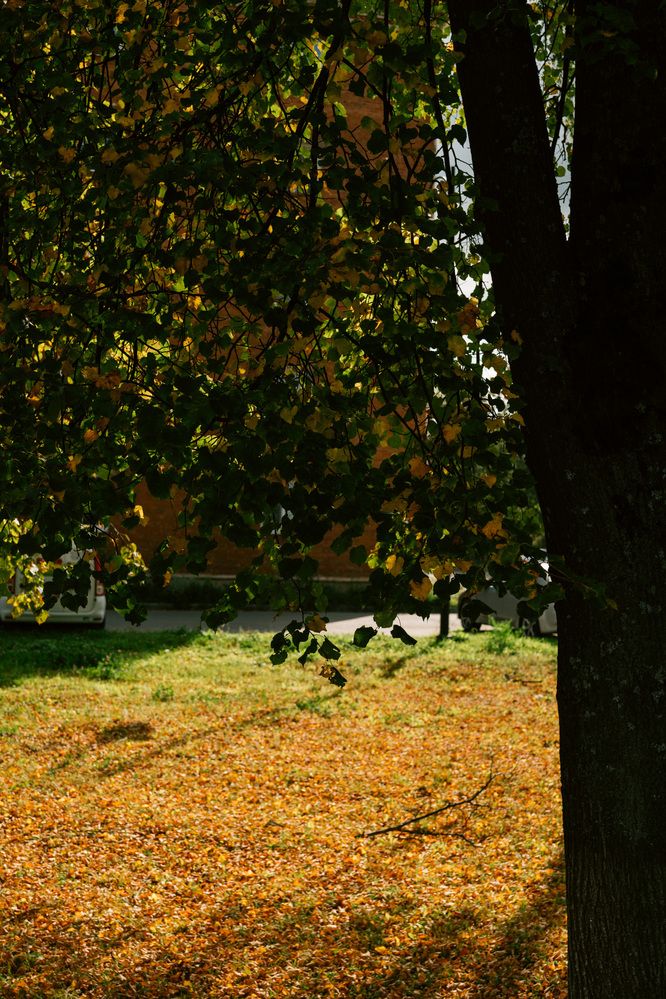 Photograph by Шугаева Александра