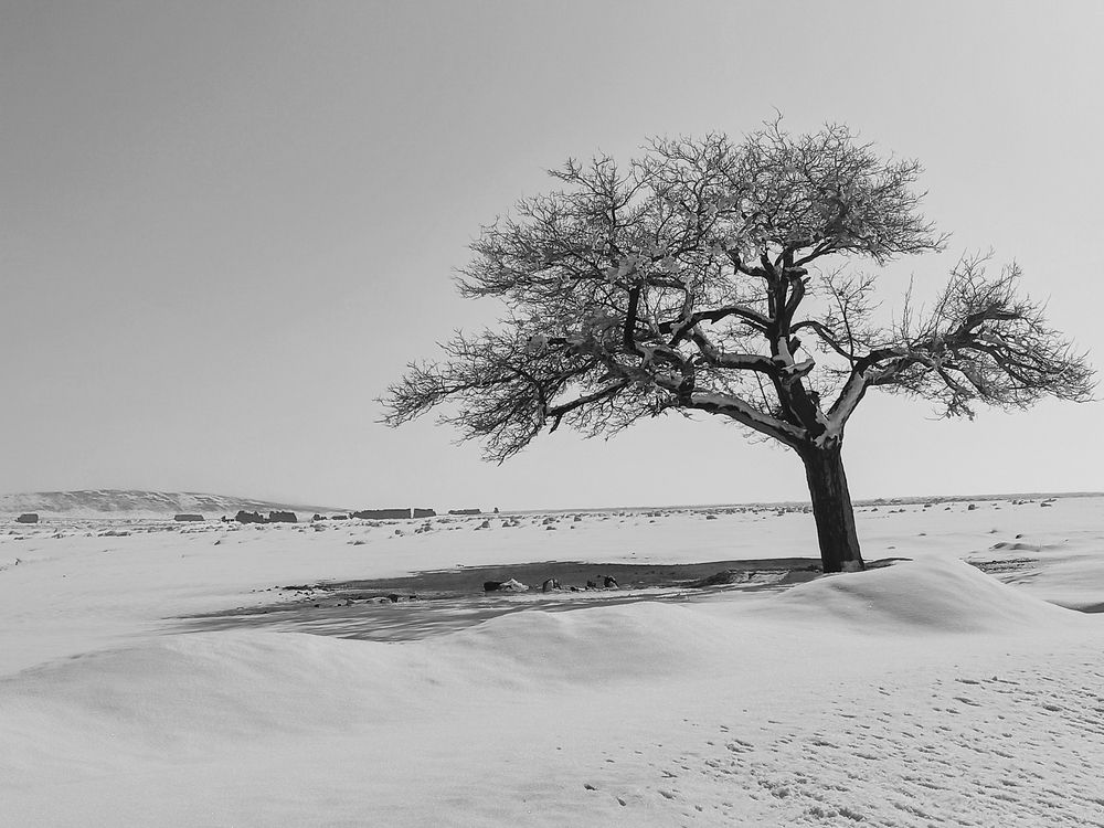Photograph by Marjan