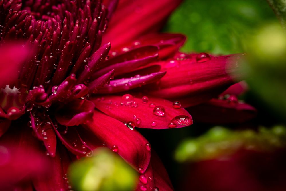 Photograph by Дмитрий Казачек