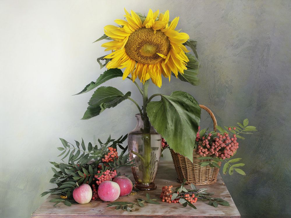 Photograph by Вера  Павлухина