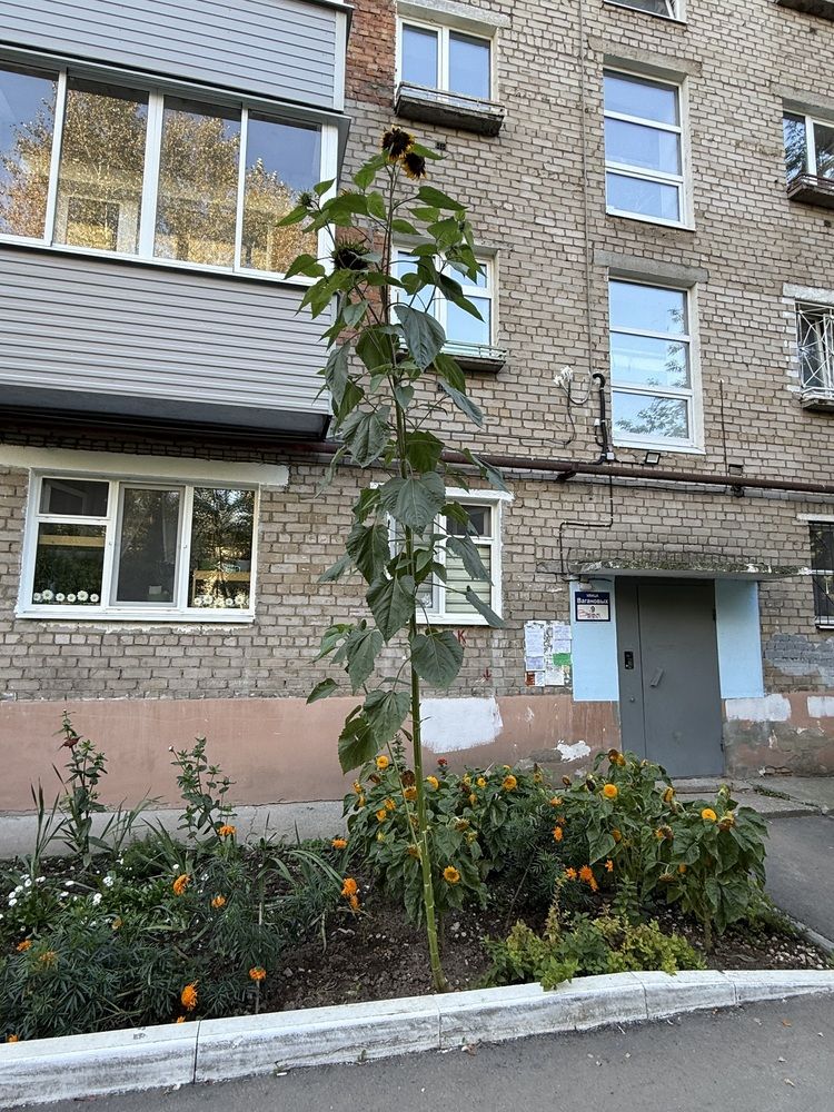 Photograph by Владислав Рубцов