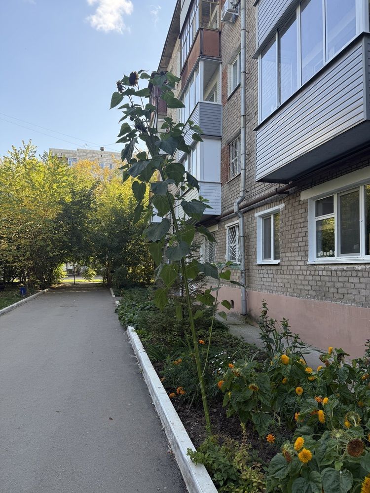 Photograph by Владислав Рубцов