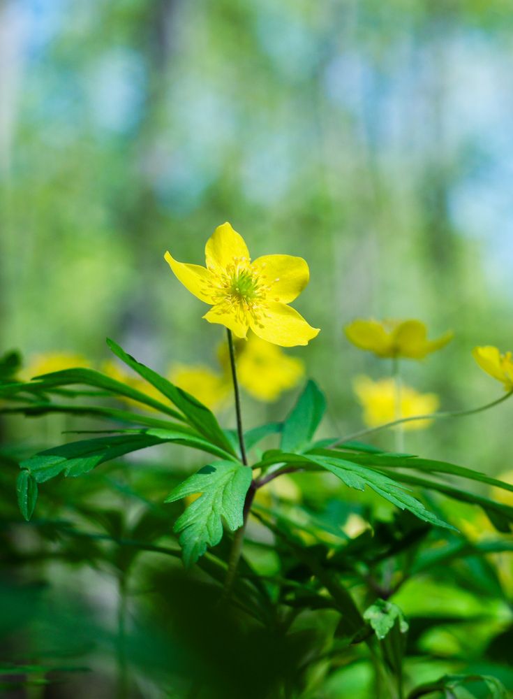 Photograph by Наталья