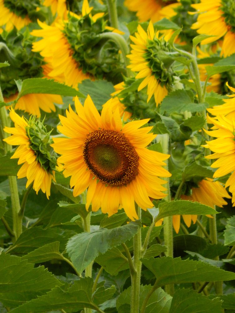 Photograph by Наталья