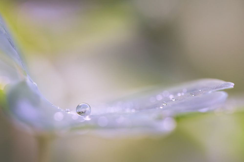 Photograph by Gabriella Magyar