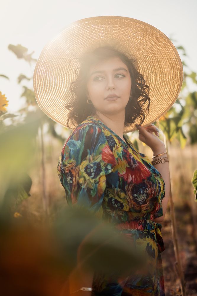 Фотография автора Milad Mohammadi