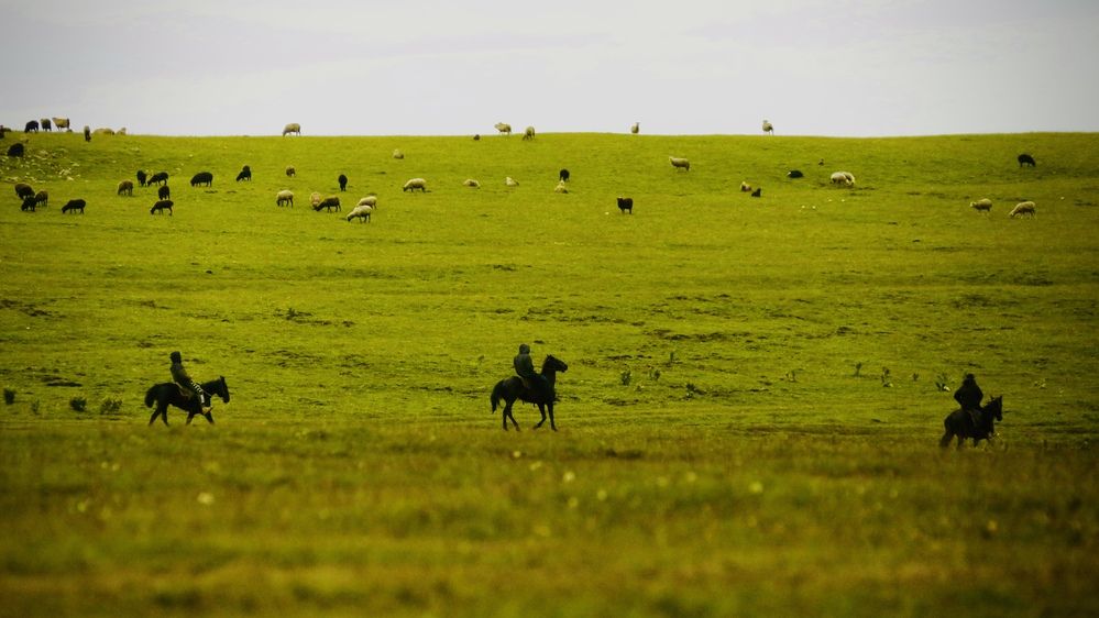Photograph by Oksana Shchegolkova