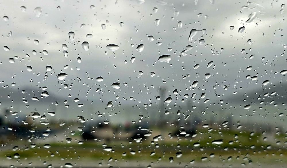 Photograph by Лариса Ким