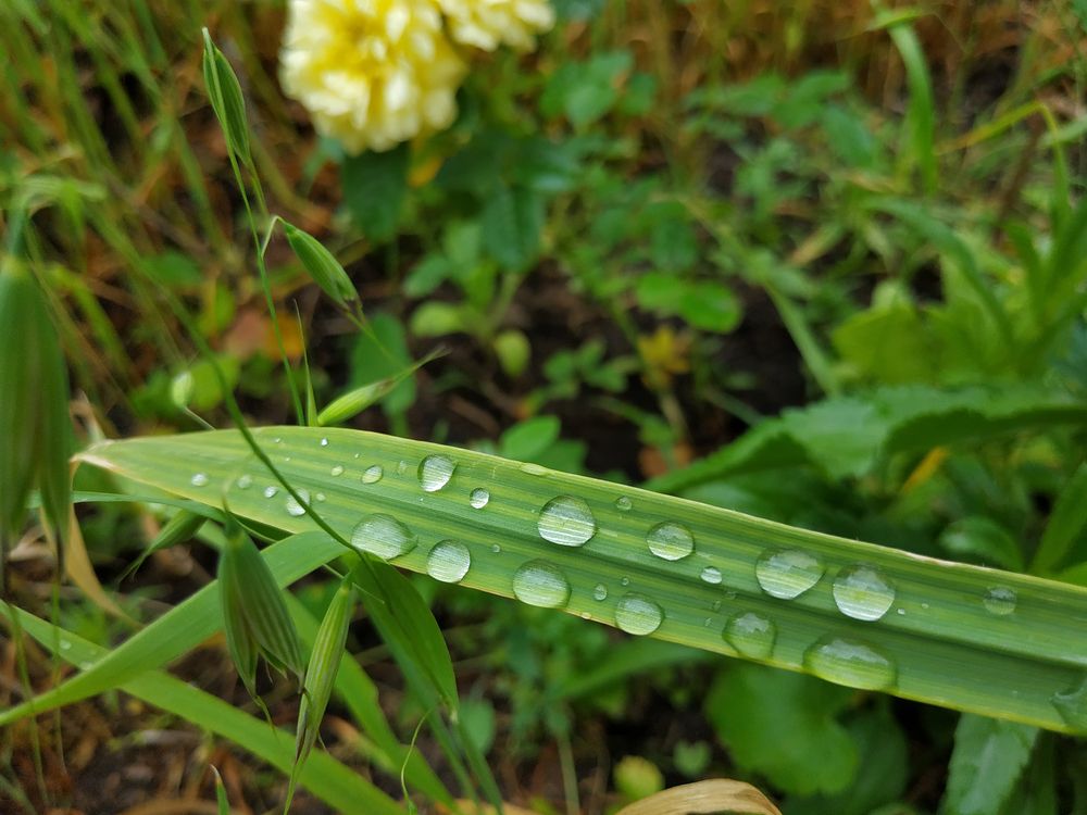 Параллели / Parallels