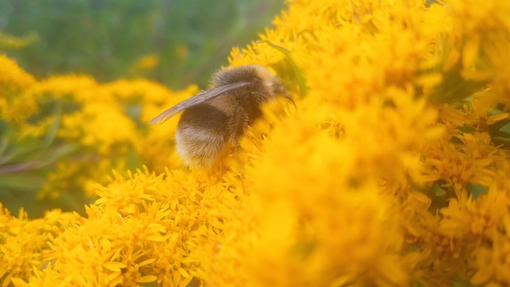 Photograph by Наталья Сорокина