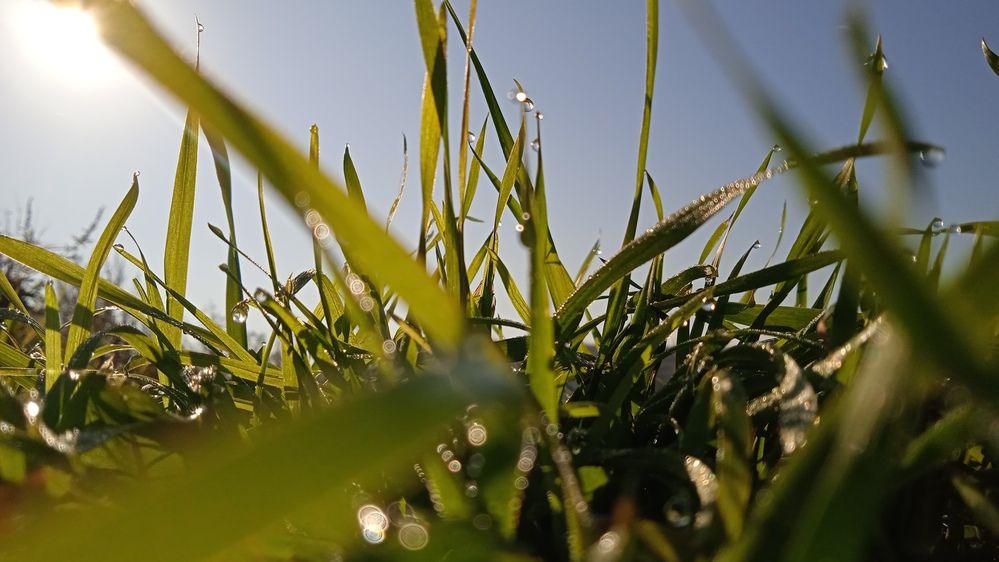 Photograph by Наталья Сорокина