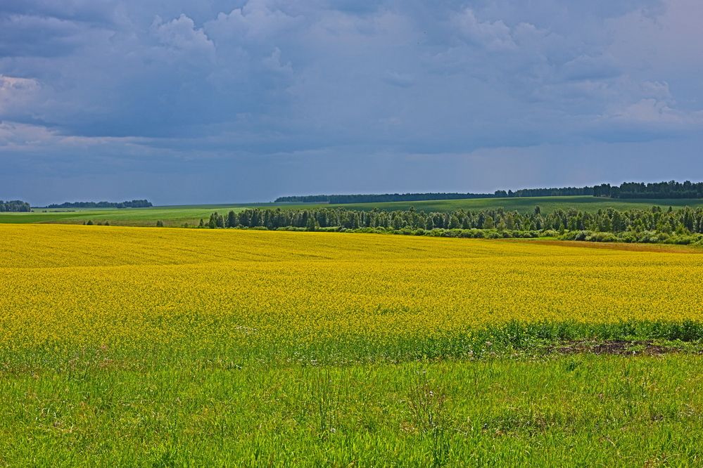 Photograph by Евгений Пятков