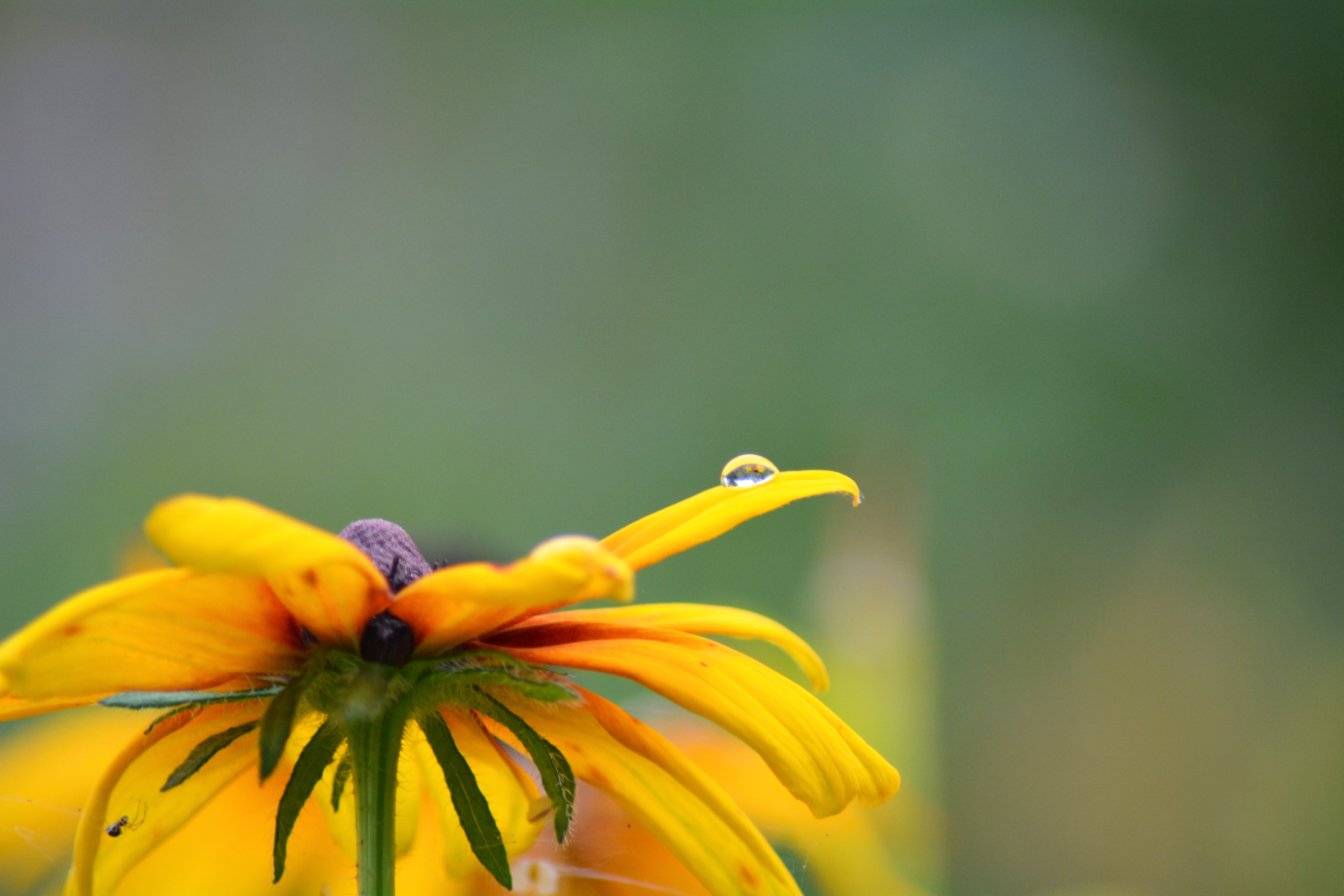 Photograph by София Бояринцева