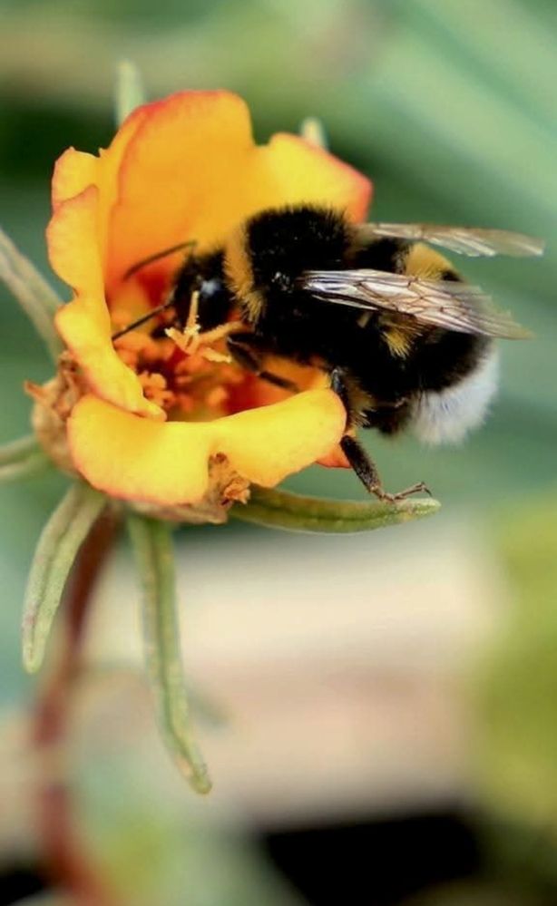 Photograph by Ирада Кузло