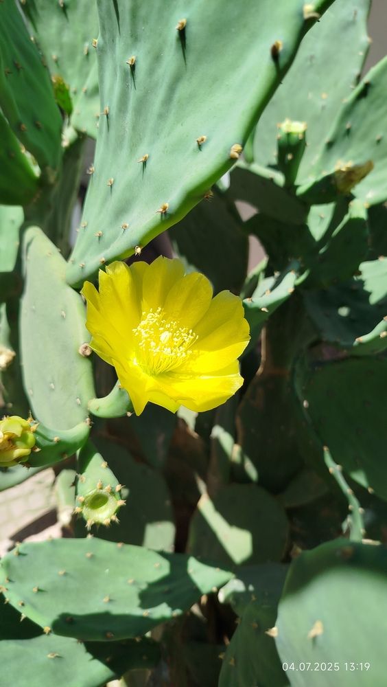 Photograph by Ирада Кузло