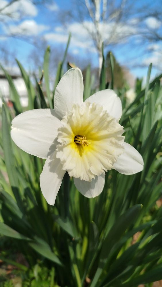 Photograph by Ирада Кузло