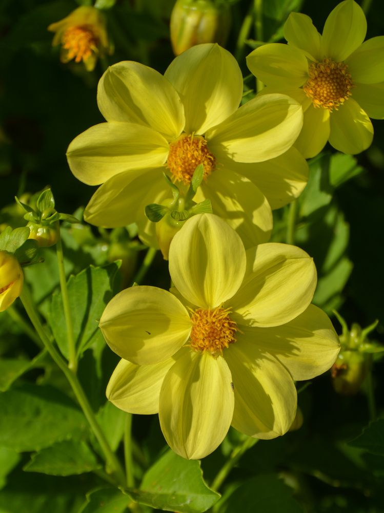 Photograph by Анастасия Гурова