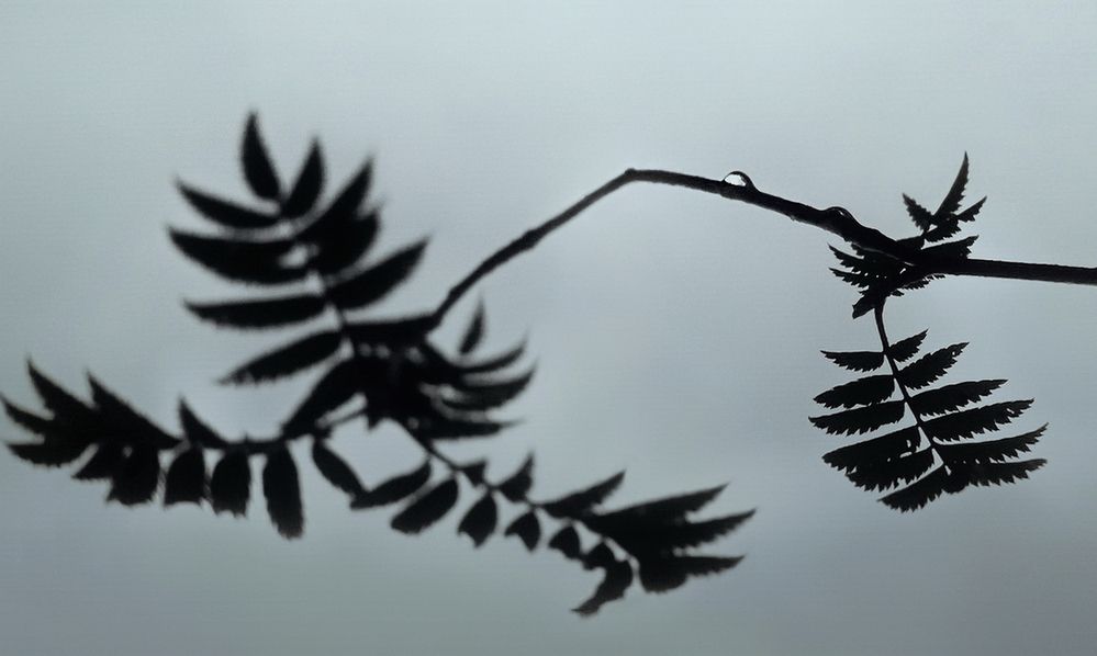 Фотография автора Е лена Е