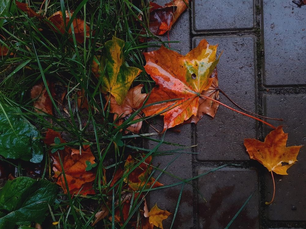 Photograph by Евгения Ульянова