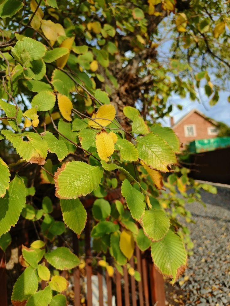 Photograph by Майя Стащенко