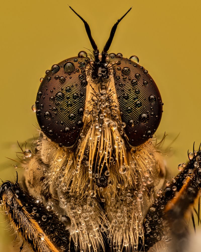 Photograph by Sergio Gomez Dominguez