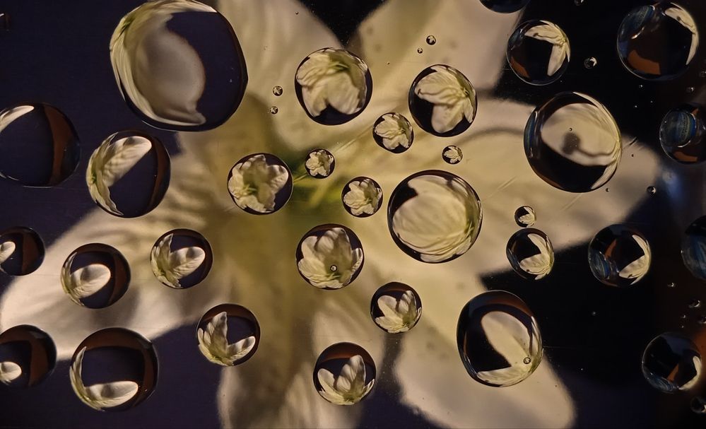 Photograph by Наталья Сорокина