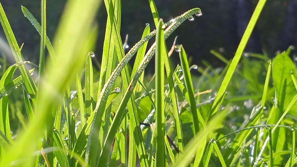 Photograph by Наталья Сорокина