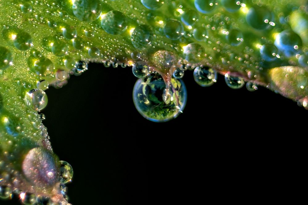 Photograph by Михаил Косолапов