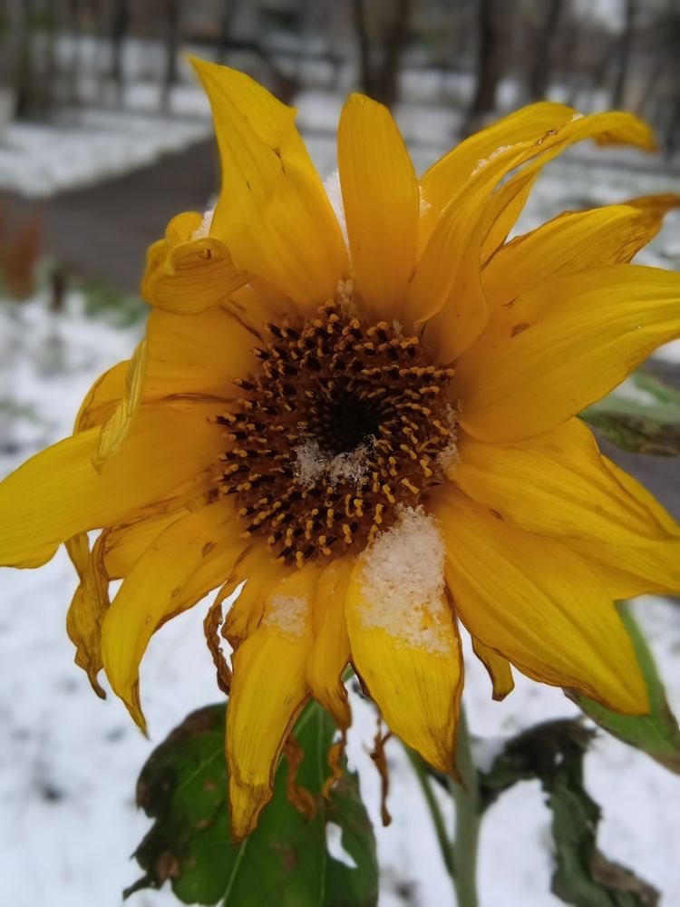 Photograph by Наталья Сорокина