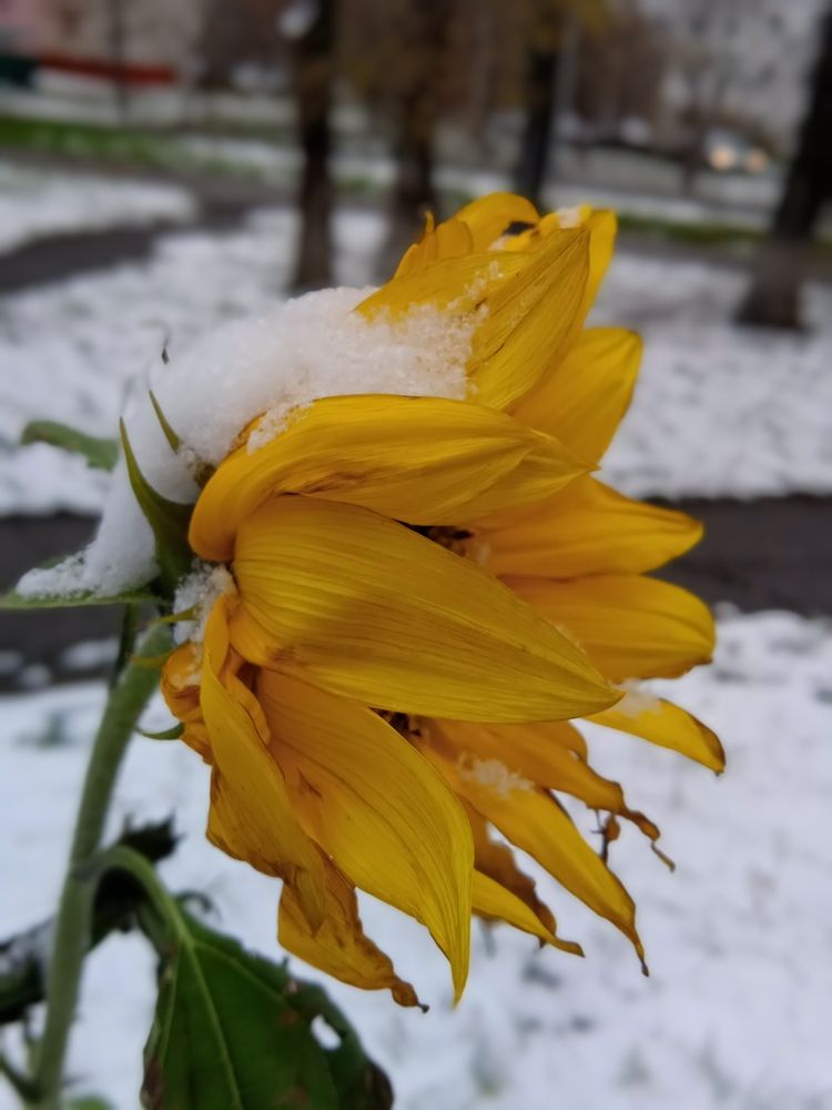 Photograph by Наталья Сорокина