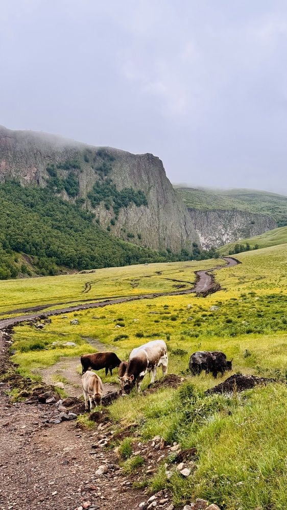 Photograph by Oksana Shchegolkova