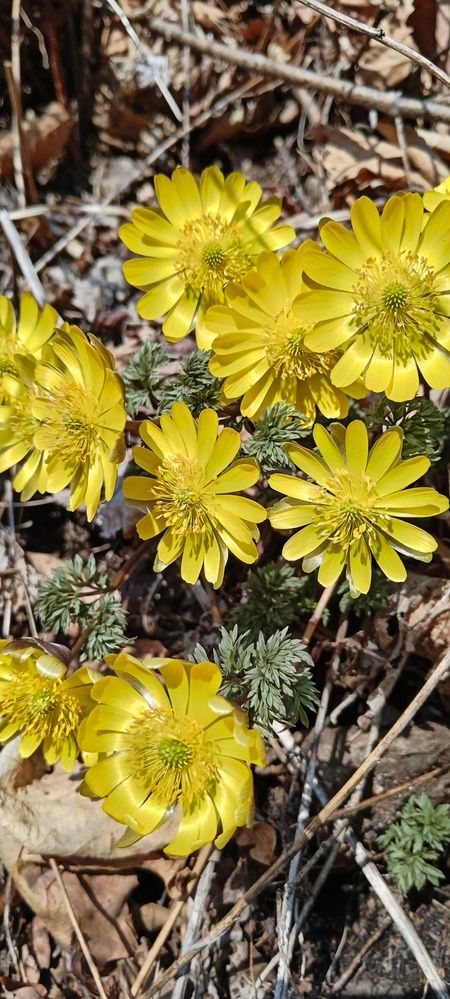 Photograph by Юлия Лихачева