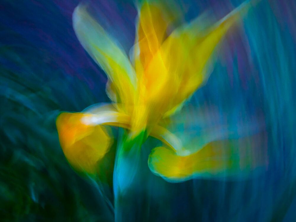 Photograph by Dar Veter