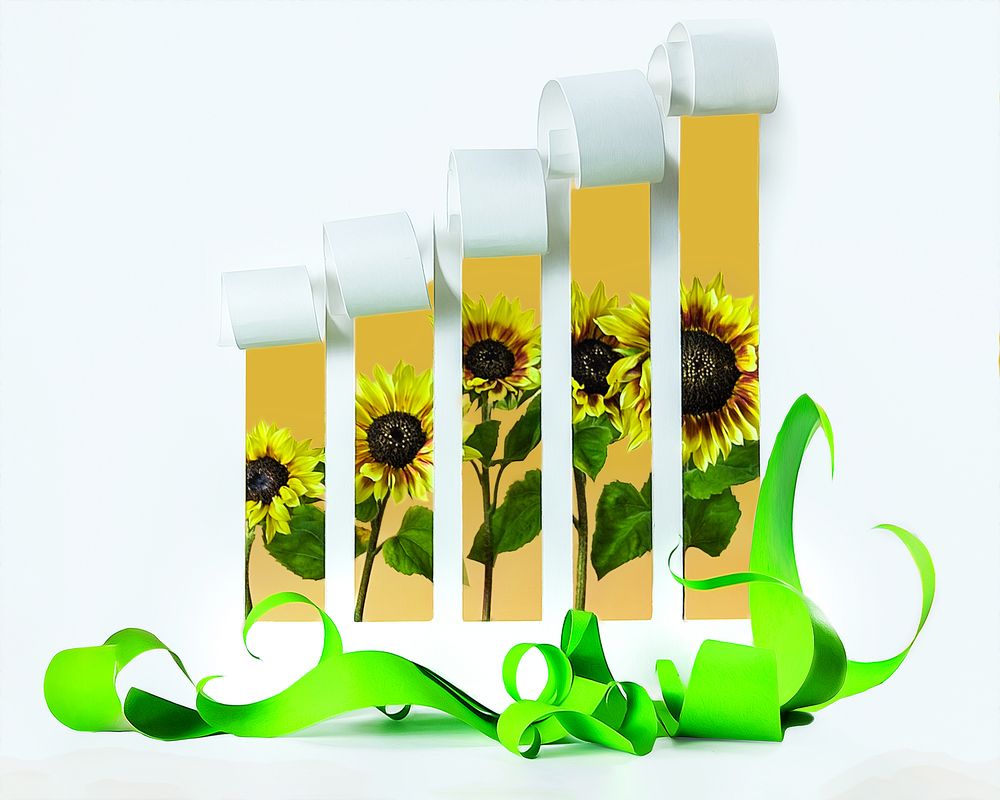 Photograph by Margarita