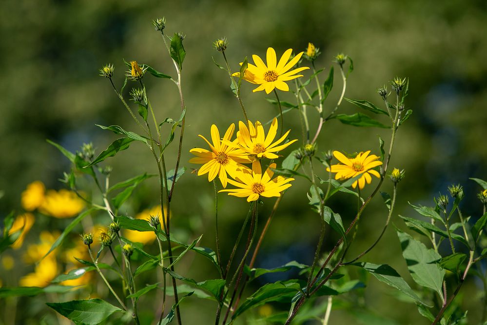 Photograph by Наталья Катюжанская