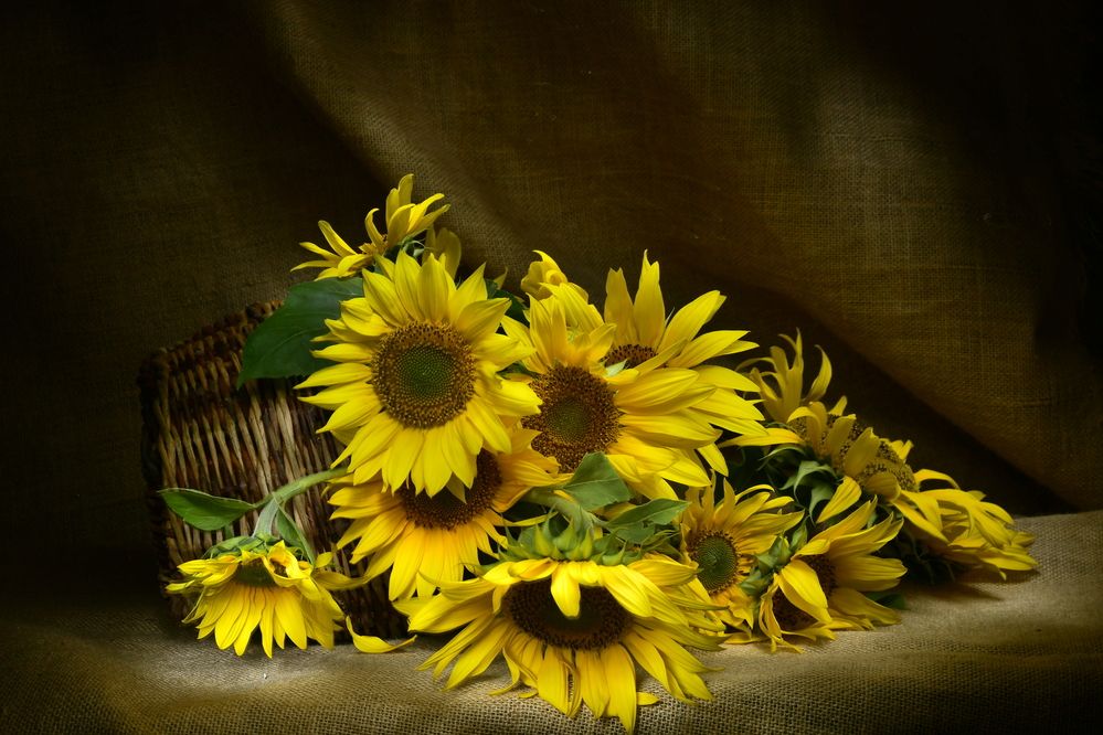 Photograph by Margarita