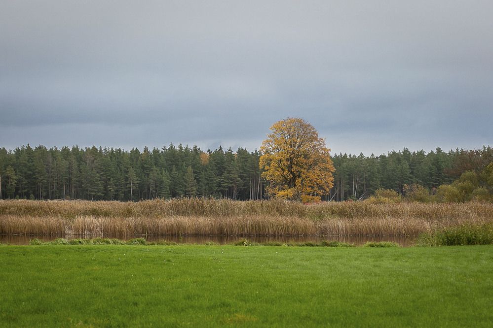 Photograph by Наталья Катюжанская