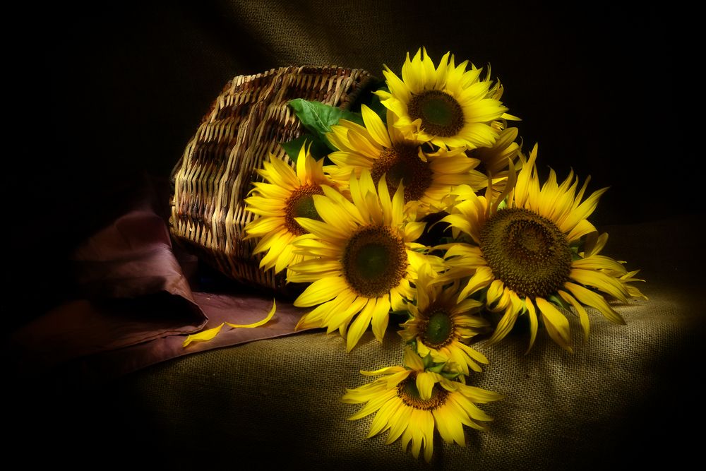 Photograph by Margarita