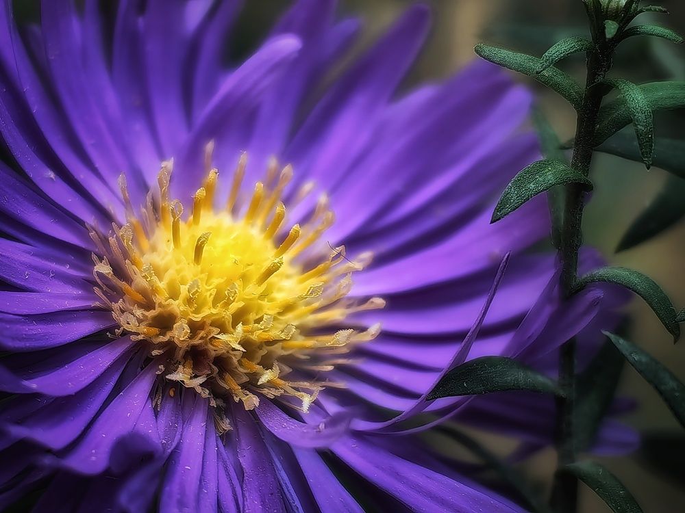 Photograph by Сергей Зайцев
