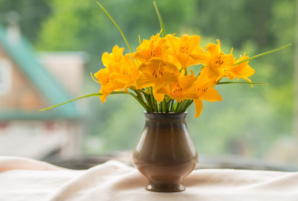 Photograph by Екатерина Вспышкина