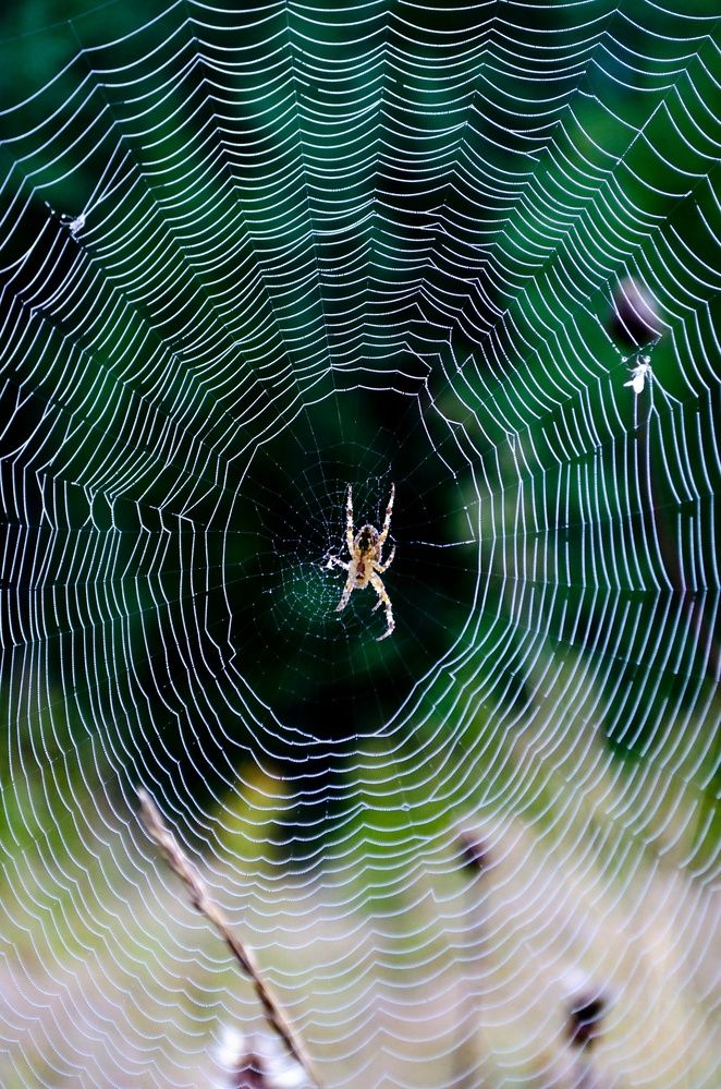 Photograph by Любовь Бусова