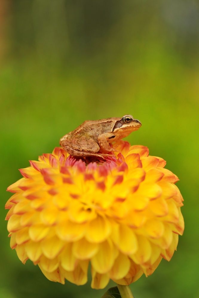 Photograph by Наталья Гайдукевич