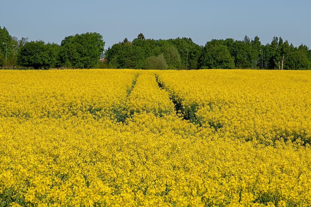 Photograph by Наталья Катюжанская