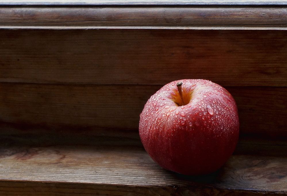 Фотография автора Е лена Е