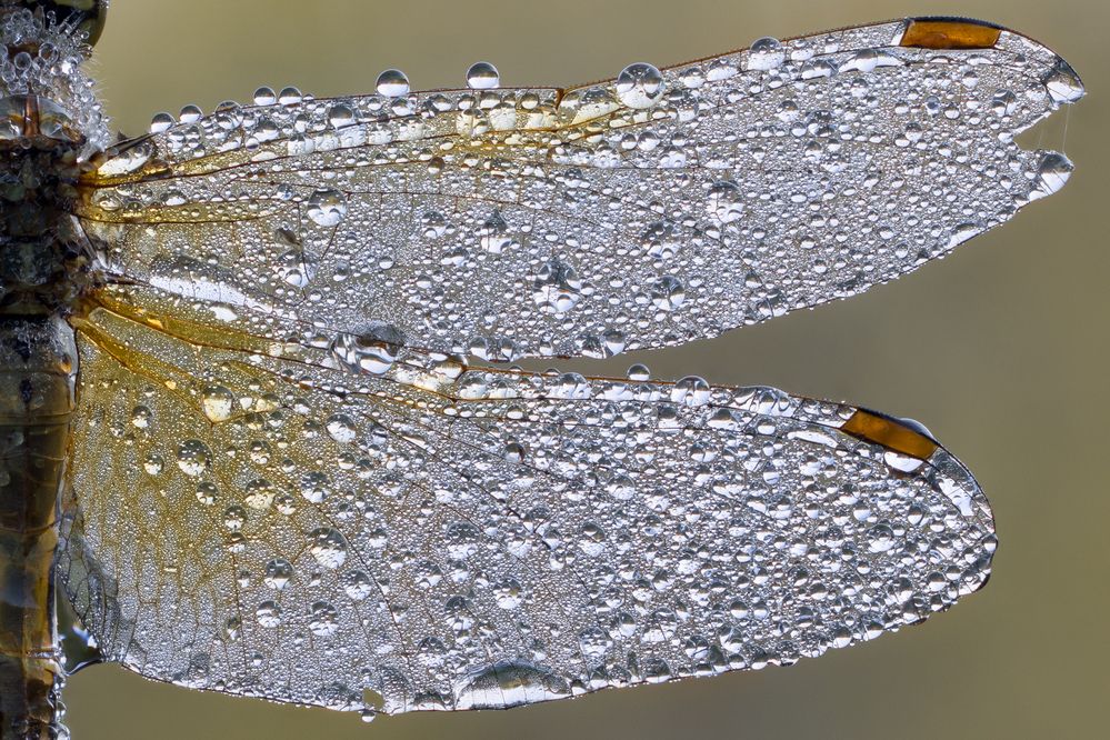 Photograph by Кузнецов Дмитрий