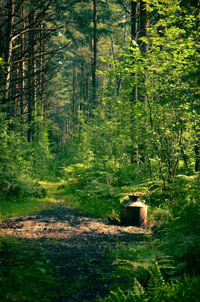 Photograph by Александр Лабутин