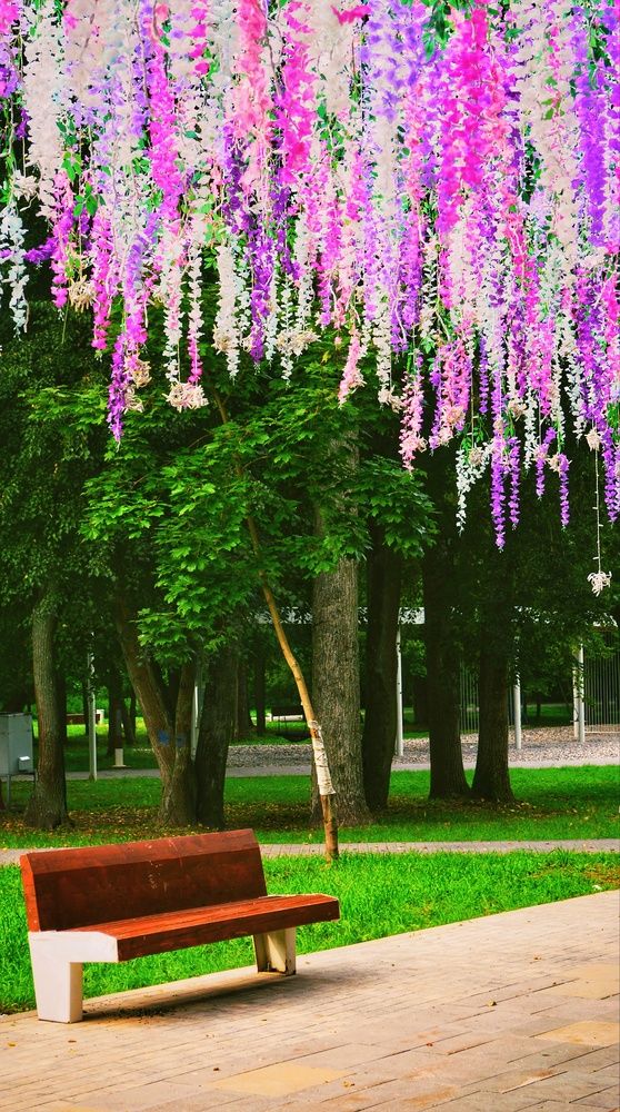 Photograph by Александр Лабутин